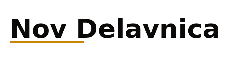Nov Delavnica logo